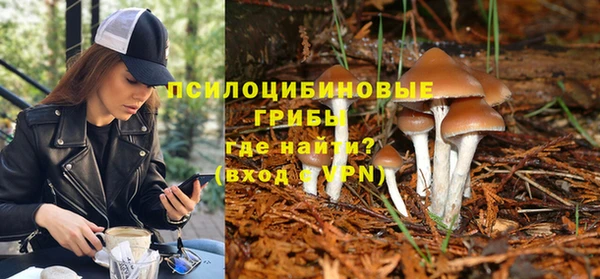 СК Алексеевка