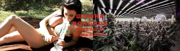 гашиш Новодвинск